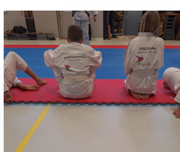 Schooljudo